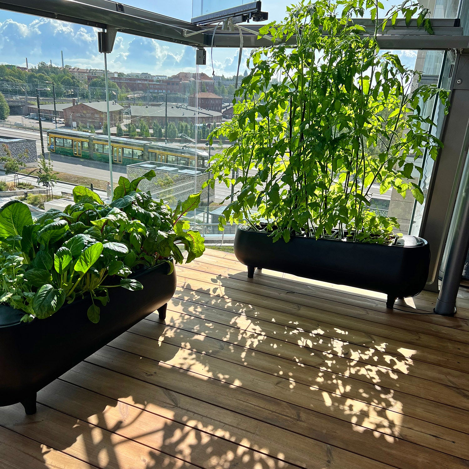 Jasper Hydroponic Garden With Grow Light