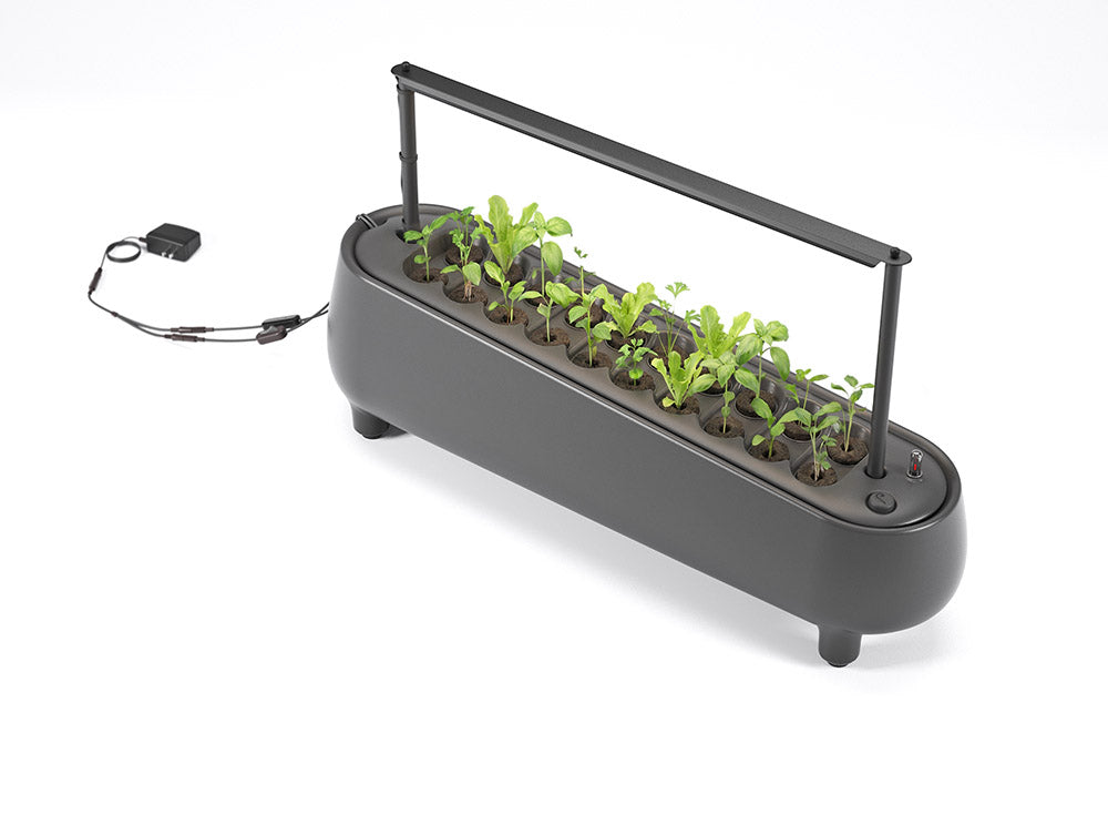 Jasper Hydroponic Garden With Grow Light