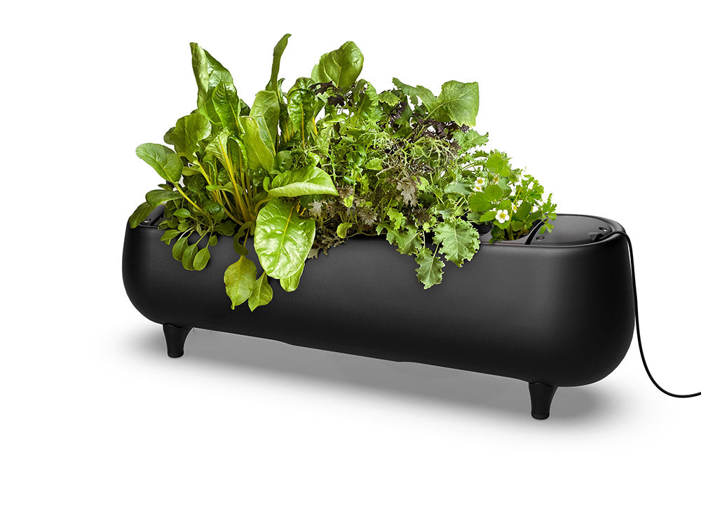 Jasper Grow Hydroponic Home Garden