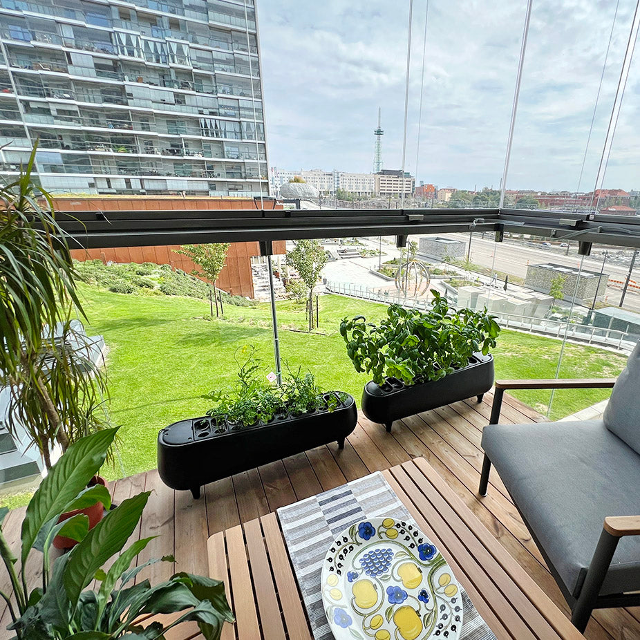 Jasper Hydroponic Garden