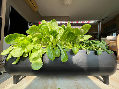 Jasper Hydroponic Garden With Grow Light