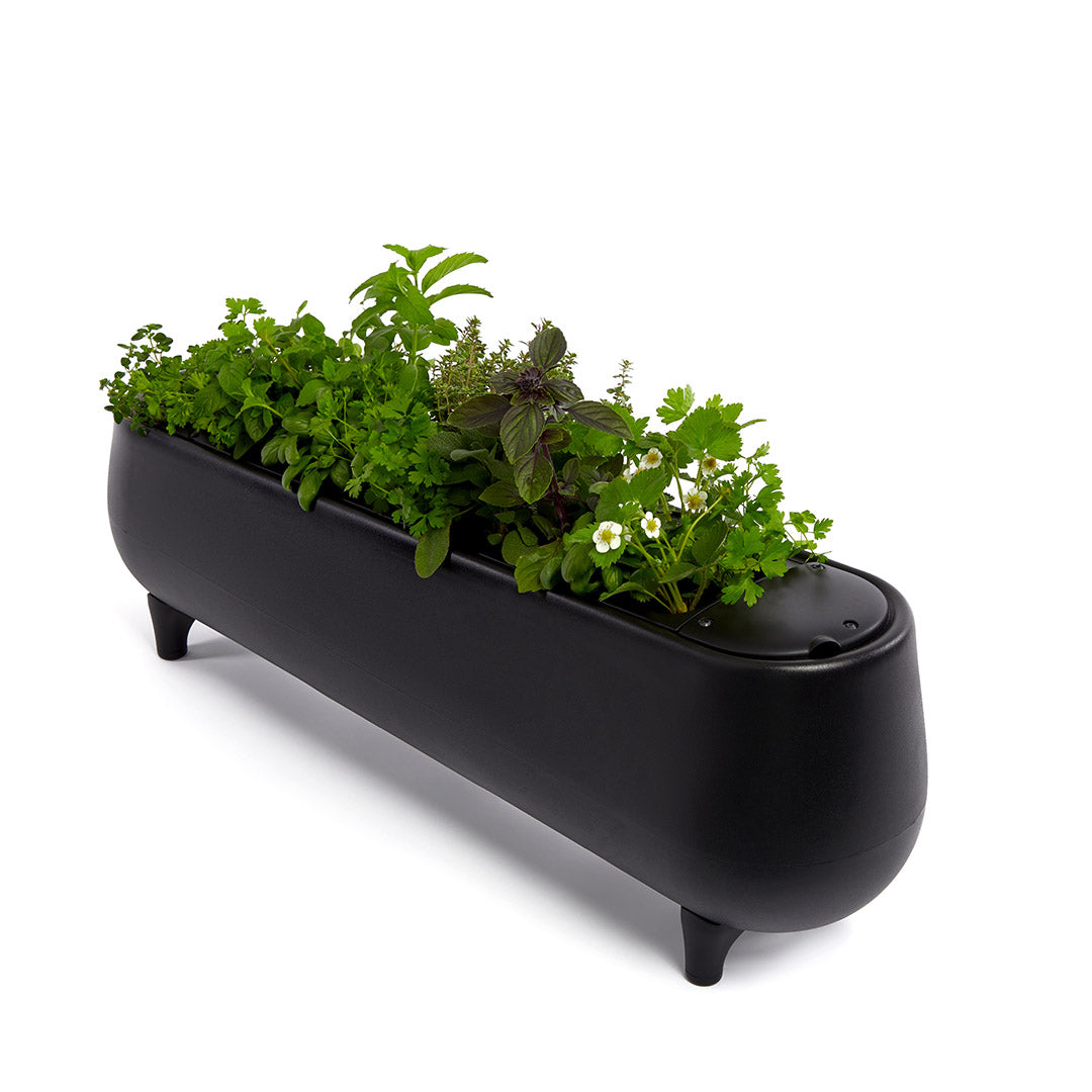 Jasper Grow Hydroponic System for homegrown herbs and vegetables