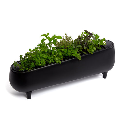 Jasper Grow Hydroponic System for homegrown herbs and vegetables