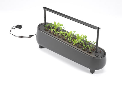 Jasper Hydroponic Garden With Grow Light