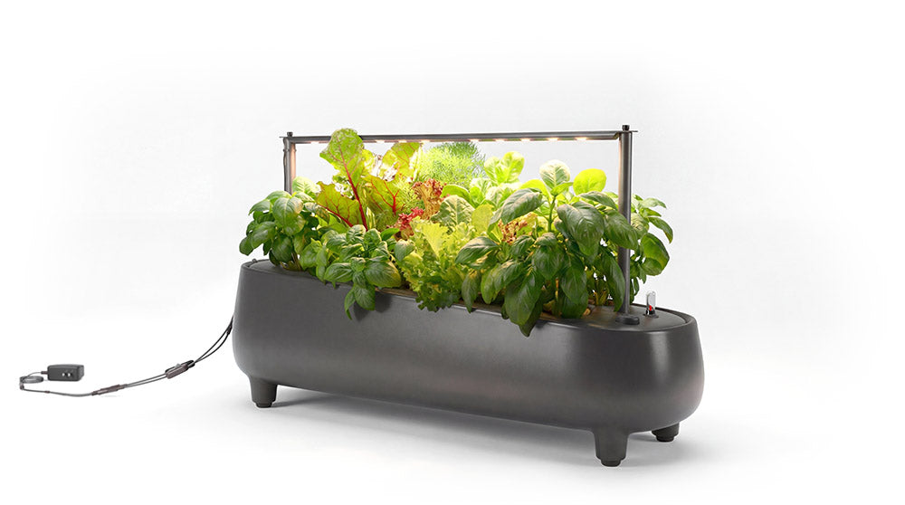 Jasper Hydroponic Garden With Grow Light